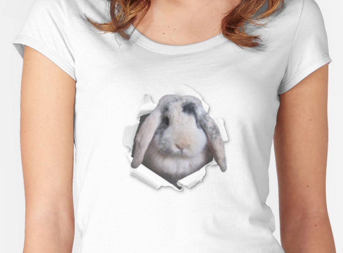 great_arts's tweet photo. Sweet bunny/rabbit t-shirt https://t.co/t8FtDYyvJR #bunny #rabbit #sweet #shirt #t-shirt https://t.co/t17khrXiJt