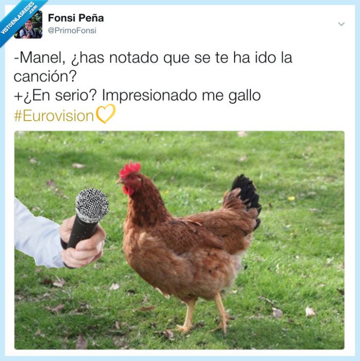 vistoenlasredes's tweet photo. Cuando enviar a un Gallo a Eurovisión es buena idea, por @PrimoFonsi https://t.co/8xUSsQXvic https://t.co/AyqPeMrYpT