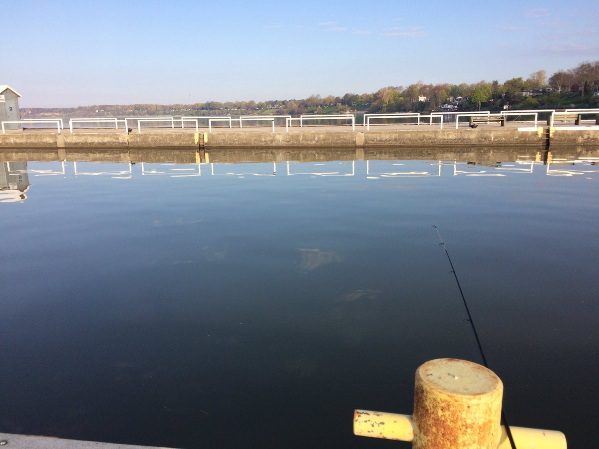 estarling385's tweet photo. Port Dover Perch Derby https://t.co/tontoKjYAs