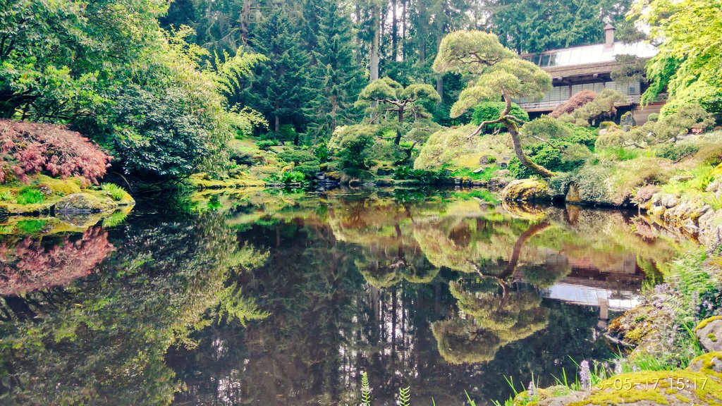 bhubaneswarbisi's tweet image. #BloedelReserve #Brainbridge