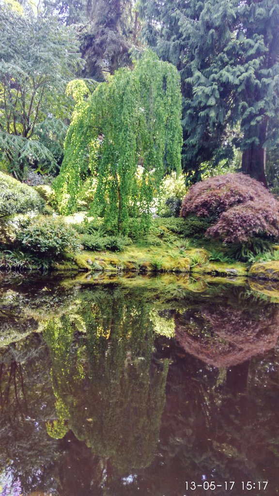 bhubaneswarbisi's tweet image. #BloedelReserve #Brainbridge