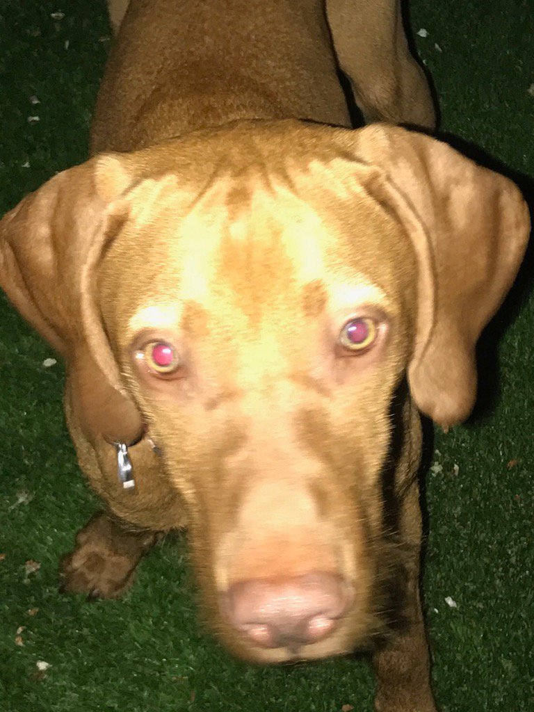 Night time noodle head.