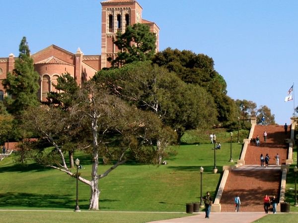 WeJust_Help's tweet photo. Westwood-Century City Patch: $20 Million Gift To Fund UCLA Institute for Human https://t.co/B4xiNSojE9 #HumanRights #News https://t.co/1OHaGXcSVN