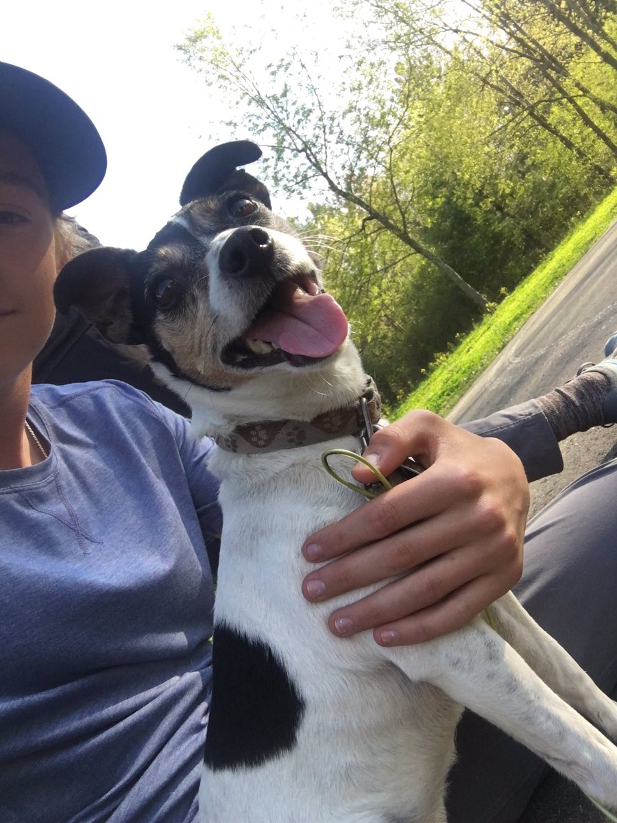 Poteete16's tweet photo. Anyone missing a dog found it on 53 today... https://t.co/fAELOYFuyl