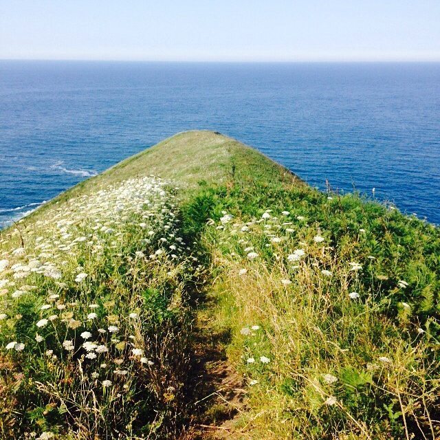 fannygautier88's tweet photo. Al final el mar.
#realidadsinfiltros #sea #greencliffs #mer #falaiseverte https://t.co/c5j2fq1KBZ https://t.co/2Z8WTUjulR