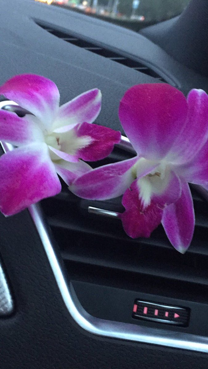 sdalwayz's tweet image. #2drinks 🌸🌸