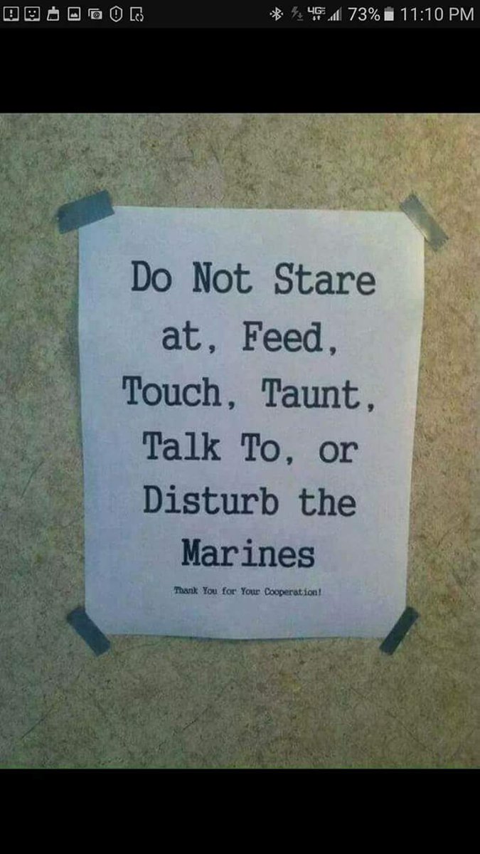 Darrell McCurry (@dmccurry1987) on Twitter photo 