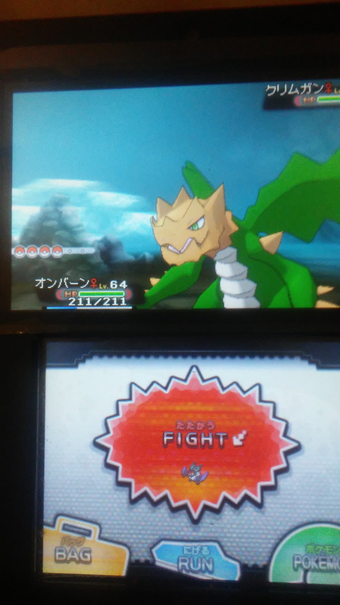 リナ なんか 久々にポケモンアルファサファイアで 遊んでいたんだけど 色違いのクリムガンと遭遇に成功 まぁ ちょっと手強かったたんだけど なんとかゲット出来た ポケモンアルファサファイア 色違いポケモン T Co Wfhgzle9fm Twitter