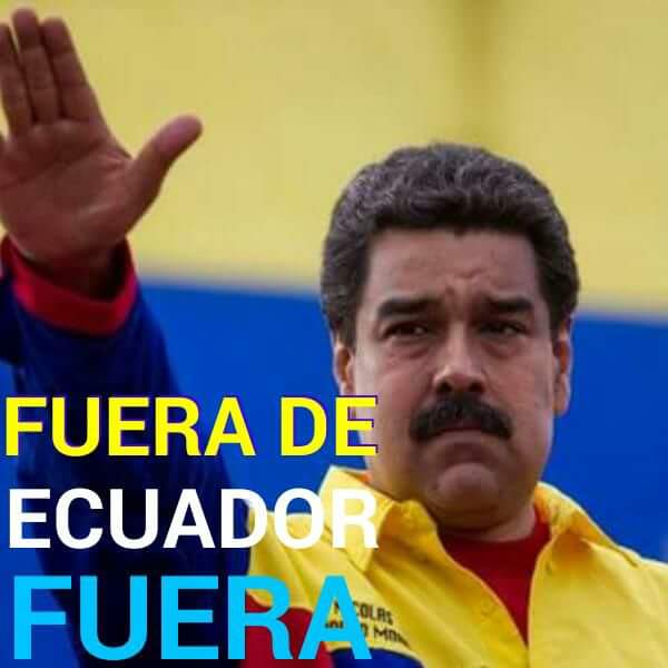 GUERMAN PIEDRA tweet media