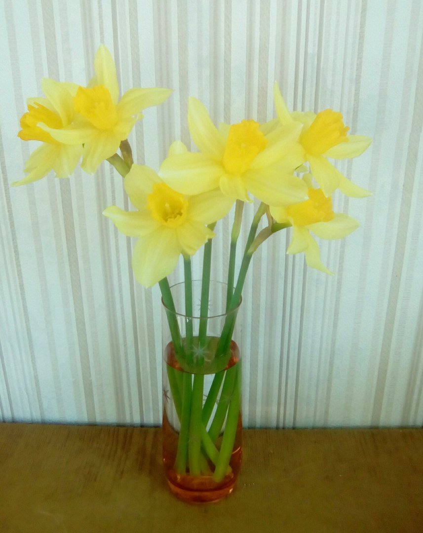 nata_zhakova's tweet image. #Всем #хорошихвыходных! Вот и начался #садовоогородный #сезон. Где и #отдых, #солярий, #фитнес и #тренажерныйзал и все на #свежемвоздухе!