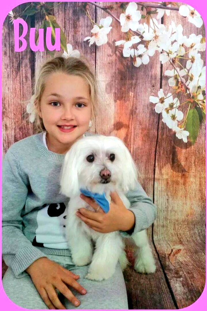 To all are Customers we wish you a happy Morhers Day from all the Staff At WA DOG GROOMING