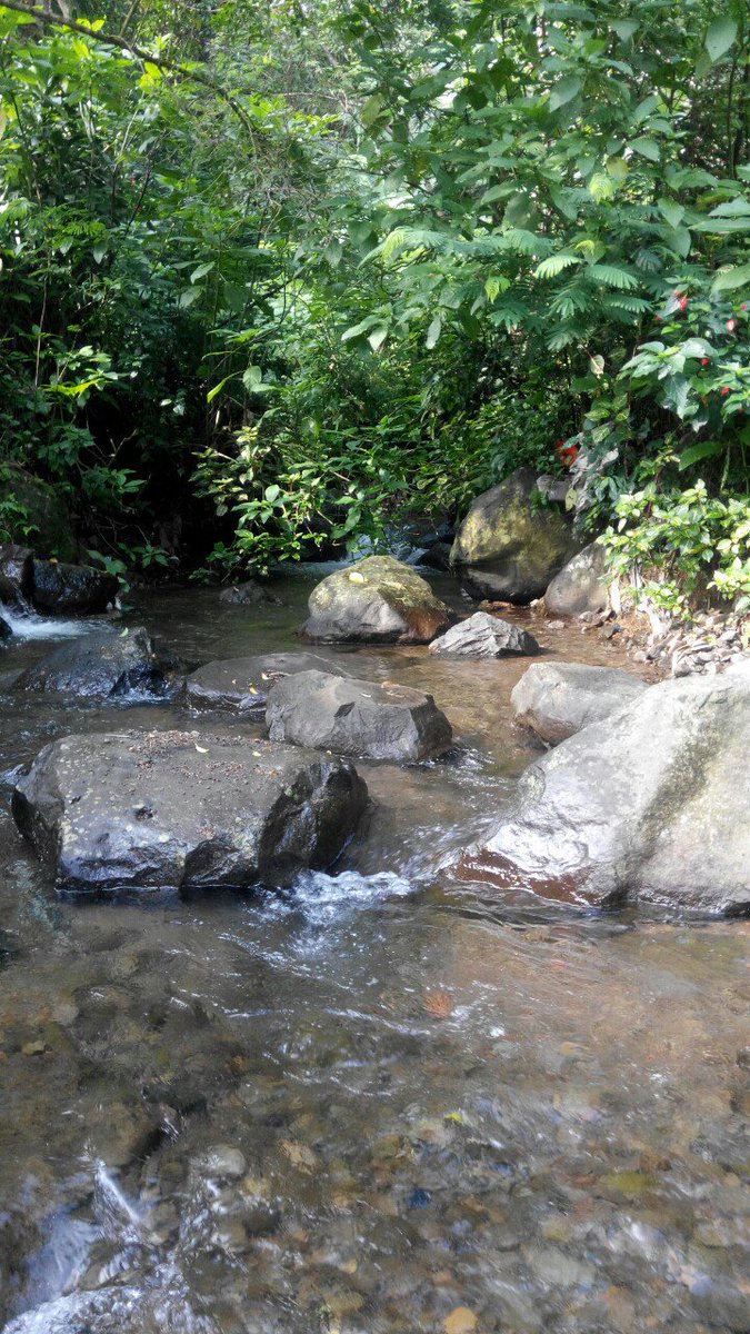 Hulu Ciliwung di Kel. Tugu Selatan, Puncak, Bogor.
#LMSC9 
#LaskarKarung
#StopBuangSampahDiSungai 
#SungaiBukanTempatSampah
