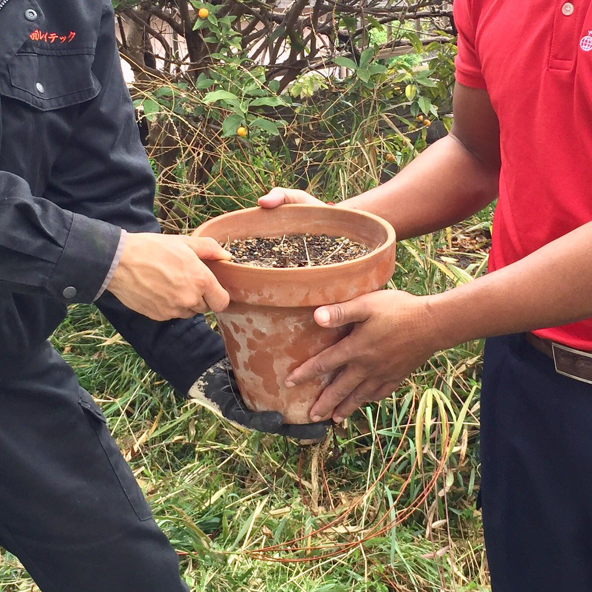 瑞穂のレイテック 鉢植えやプランター 家庭菜園の残土処分 持っていく場所がありません そんなとき瑞穂町のレイテックにおまかせ 入間市や青梅市 武蔵村山 立川 福生 羽村からお客様がお越しです 土嚢袋 一袋単位で受付けしています T Co