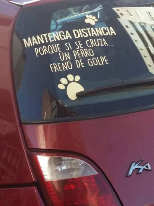 DementeTextual's tweet photo. Más personas así! https://t.co/41YBbhA3UL