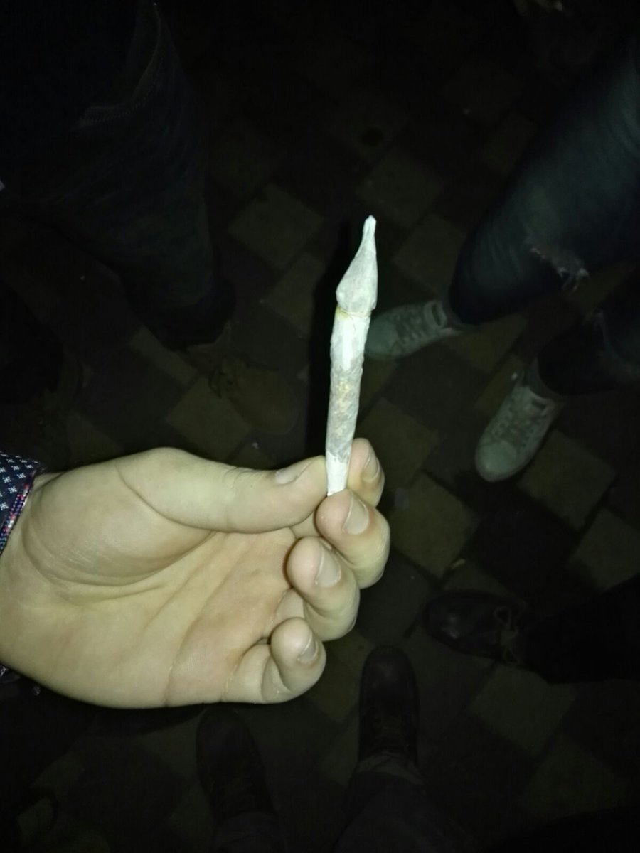 Flechiporro jijijiii😂😂
