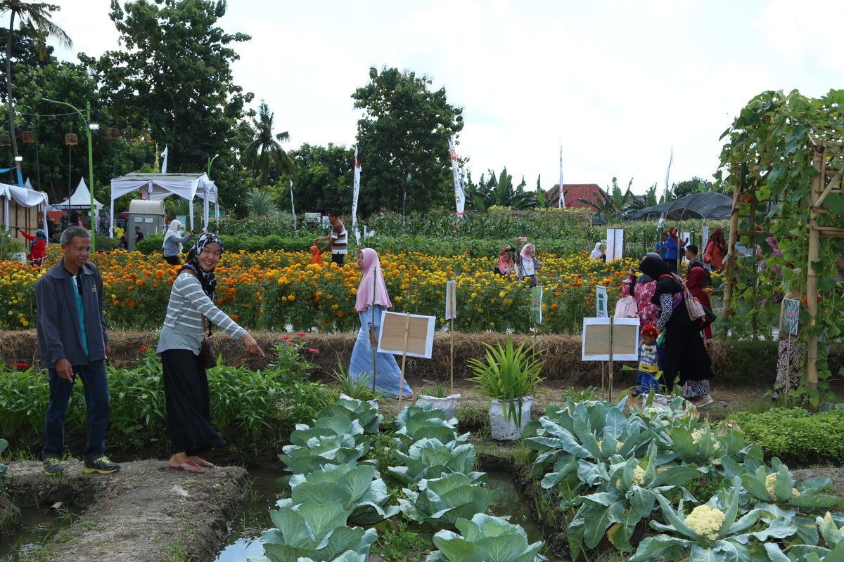 tul_har's tweet photo. Begini lah #AgroExpo #Banyuwangi petugas dg semangat mengedukasi pengunjung 
@a_azwarnas 
@banyuwangi_kab @dispertabwi https://t.co/7WEByNS1IZ