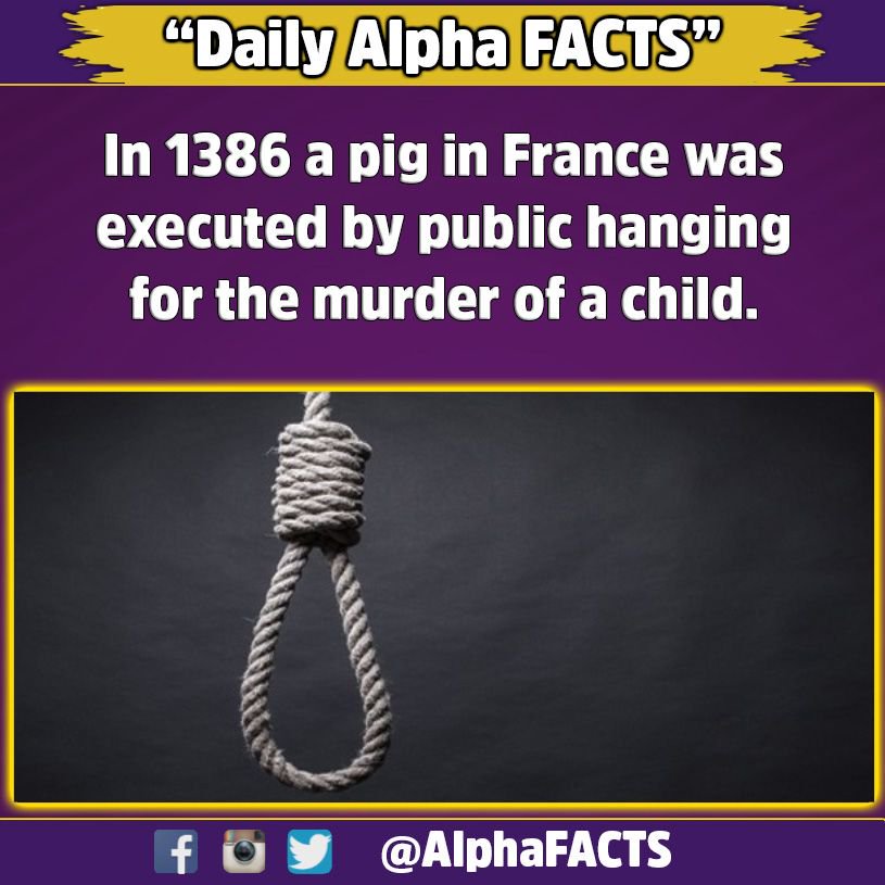 AlphaFacts's tweet photo. #depression #sad #depressed #diy #trick #ideas #tips #tutorials #lifehack #fashion #bodyhack #love #cute # #Alpha https://t.co/ehlgDbMRWb