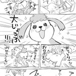 ペットの尻尾を踏んでしまったら？犬の心の広さと猫の了見のせまさを知る!