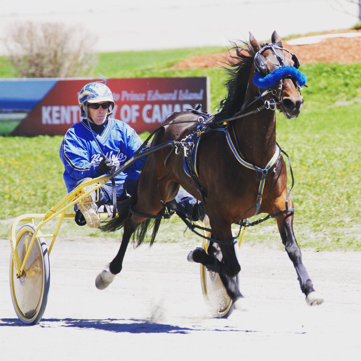 Mozartsplace's tweet photo. Training in race bike⚡️ today with Jackie…#GettingSerious #GoTime
📷https://t.co/QfyIsM7FG4 #HarnessRacing🐴 @Chiiad13 https://t.co/zj31C7IT8L