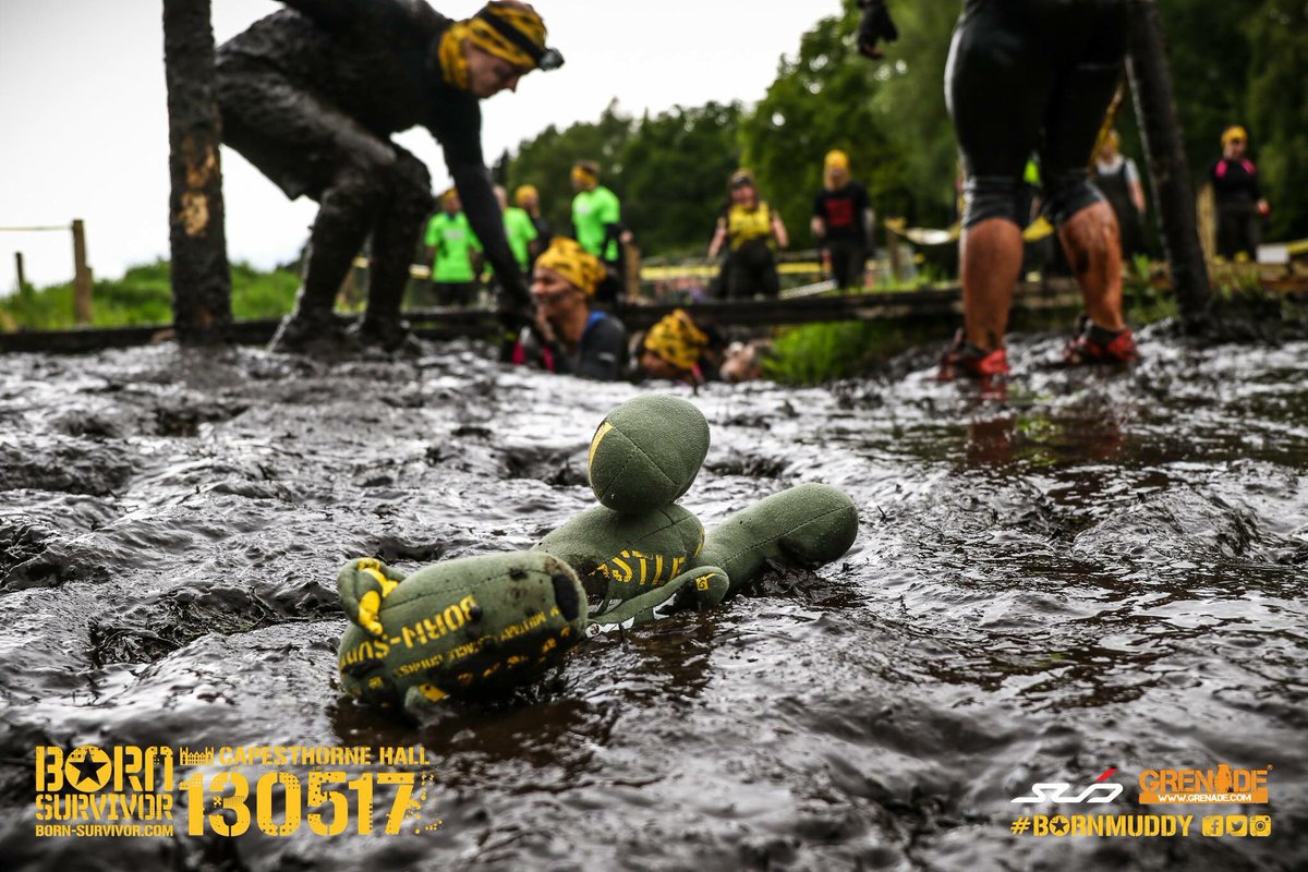OCRBears tweet picture