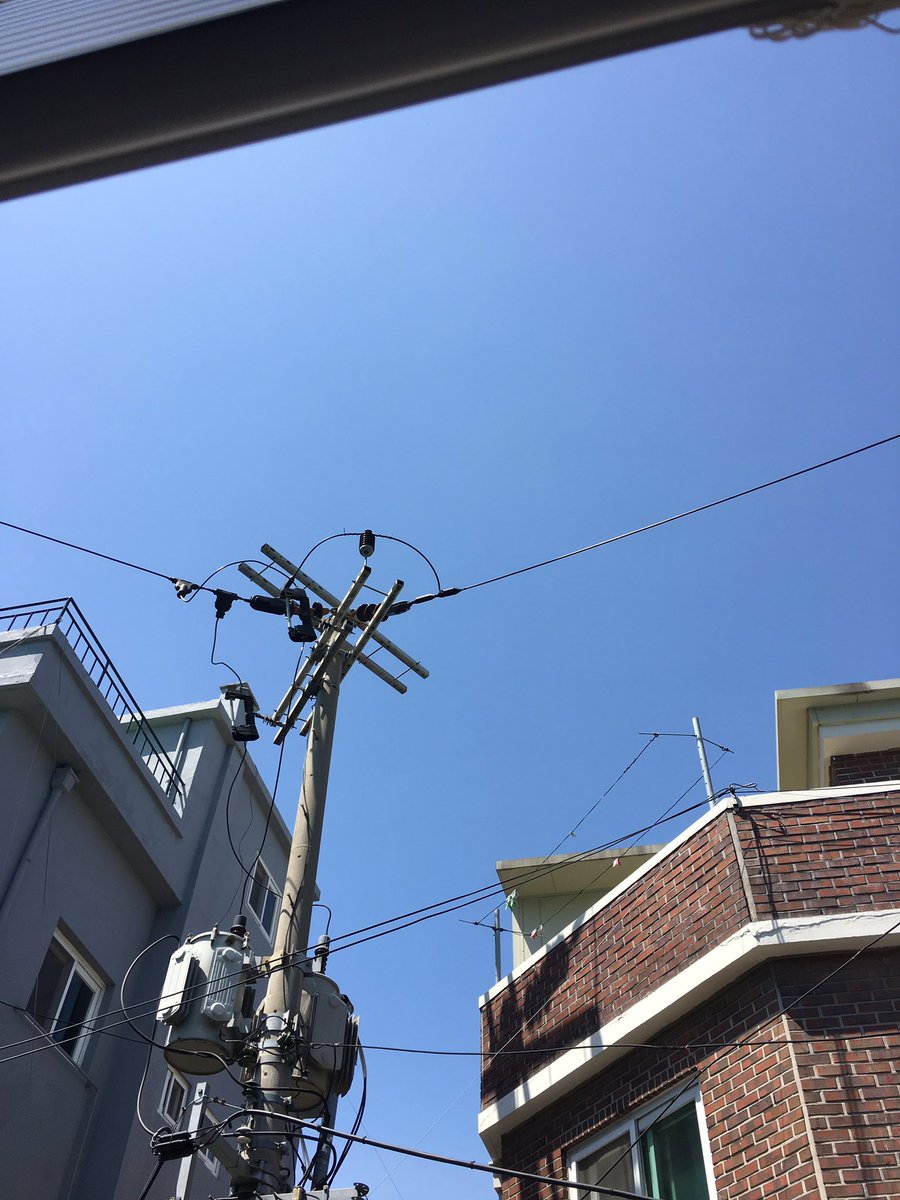 기고자 창문 밖으로 보이는 풍경!최고의 날씨~!