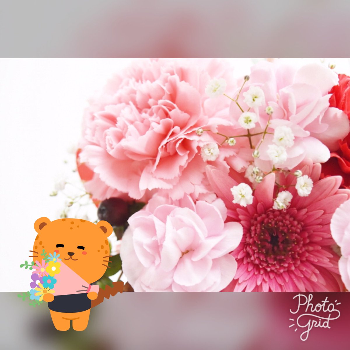 CleanMasterJP's tweet image. 今日は#母の日。いつもおうちのことやお仕事に頑張っているおかあさんに、こころを込めて感謝を伝えたいですね^ ^
#母の日 #カーネーション #プレゼント #cmchip