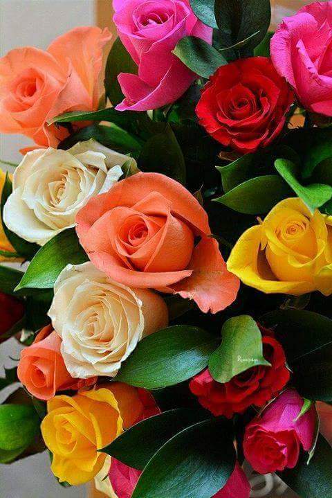 Mohamed Ahmead Nagui (@ahmeadnagui) on Twitter photo 