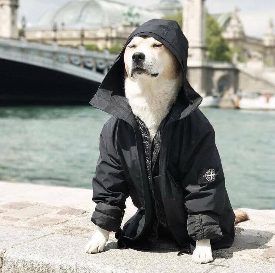SundayChants's tweet photo. When you've got walkies at 1 but Millwall away at 3 😂 https://t.co/3UteyQ55Du