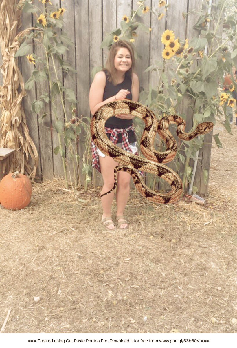 micaela johnson 🌻 (@MNJohnson18) / Posts / X, image size:819x1200