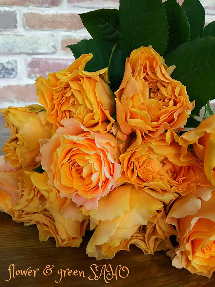 フラワー グリーンｓａｈｏ カラルナ フリフリの花びらが可愛い薔薇です 花言葉 愛嬌 絆 魅惑 信頼 Minne 様で季節の植物やサボテンを販売させて頂いております 植物 フラワー つくる人 T Co Cb8mtzmb77 Twitter