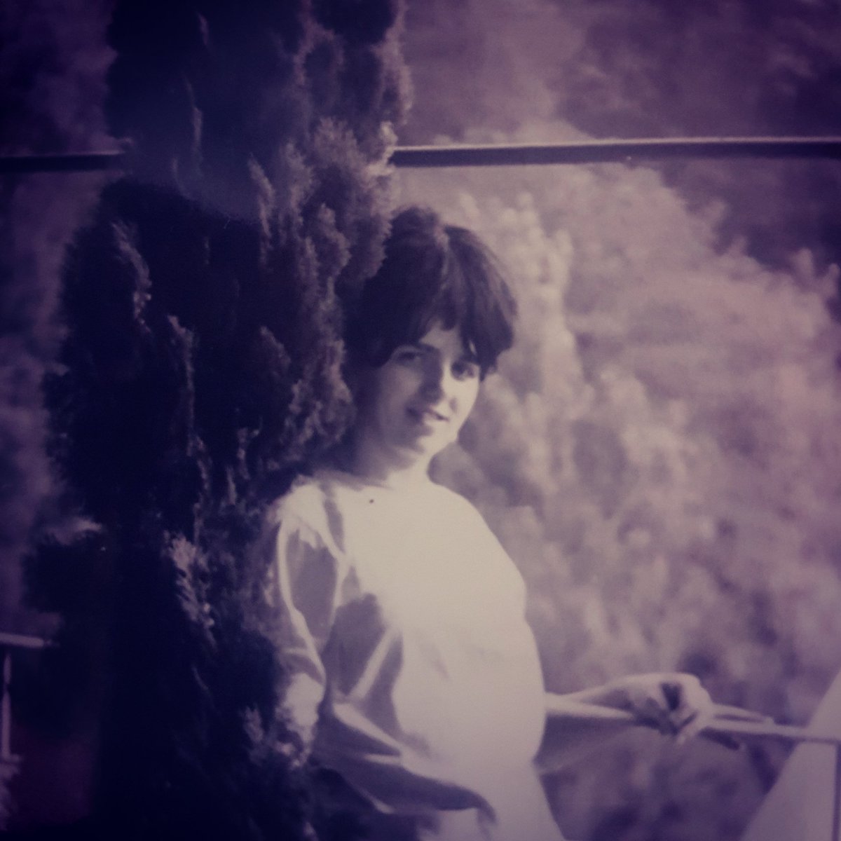 elio_moretti's tweet photo. Auguri mamma https://t.co/3WgEUAZlfr