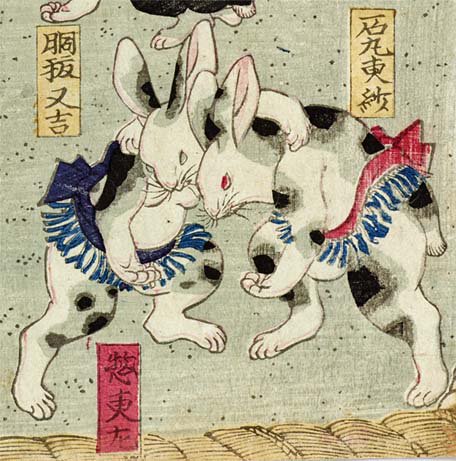 今日（5/14）から両国の国技館で大相撲五月場所が始まりますが、ウサギ