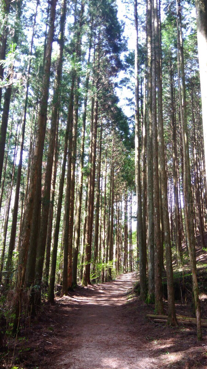 Buenos días!!! Feliz domingo a todos y a sumar km !!! 😉🚴🏼🏃🏽🤸🏽‍♀️🏄🏽‍♀️🚵🏋🏽‍♀️