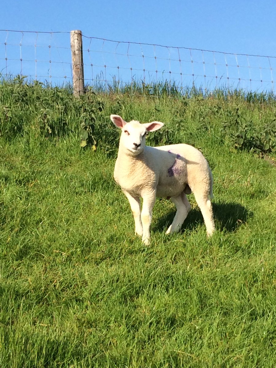 Hier word ik blij van!