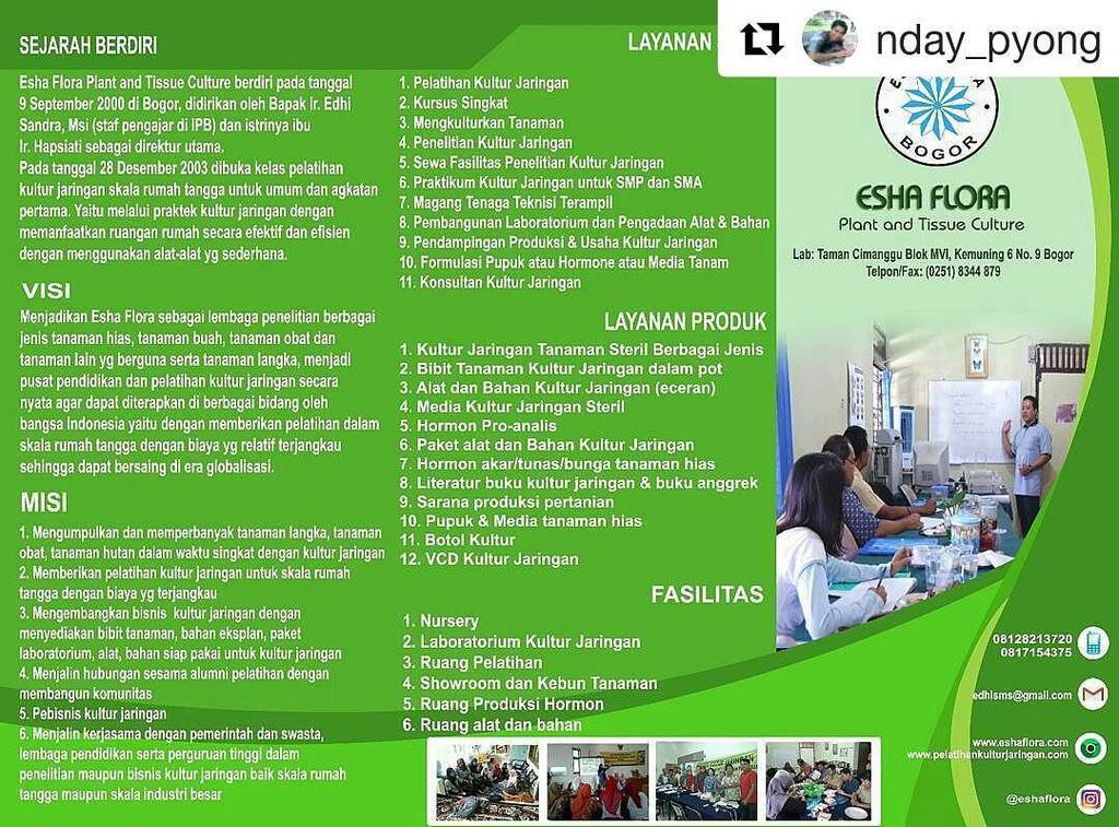 Edhi Sandra On Twitter Repost Nday Pyong With Repostapp Design Done Brosur Leaflet Adobeflash Adobephotoshop Coreldraw Designgrafis Design Eshafl Https T Co L0jlh9lpz8