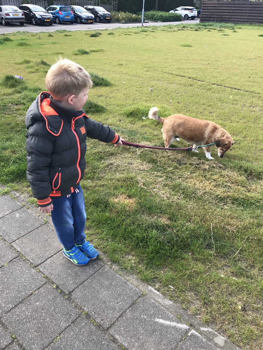 JannekevLeijen's tweet image. It's a match! Sven en onze uitlaathond via @WeHelpen. Werkt  ook in @GemeenteDuiven