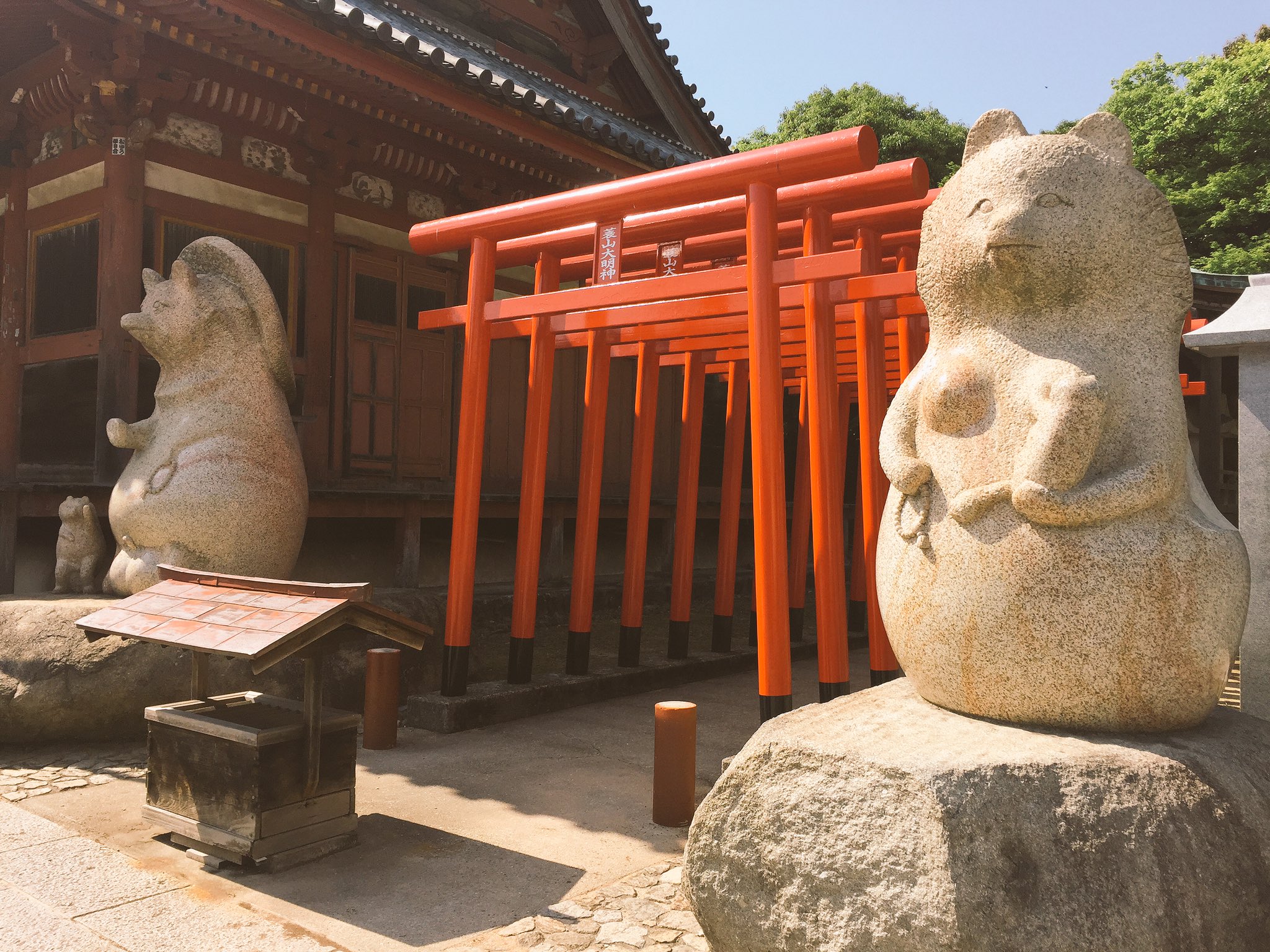 太三郎狸 Twitter Search Twitter