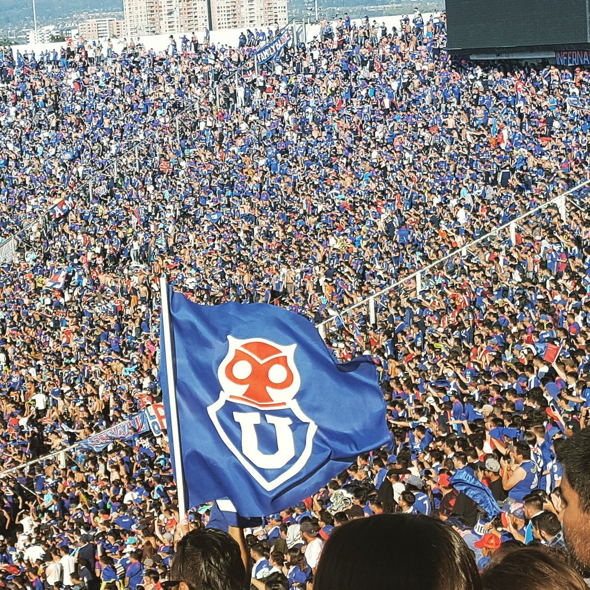 ホアキン 🦉 tweet media