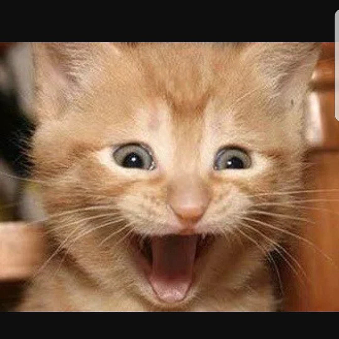 Me right now lol could also be you if you joined my team 😆😆😆 ❤💬💌