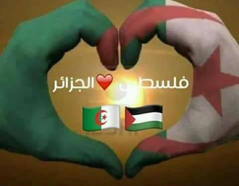 Imene20205's tweet photo. #من_قلب_الجزاير
الحب لكما معا 👈والروووح #تقاسماها..💕
والمشاعر بالعشق تركن وتطير في #سماها🌹
🌺#الجزائر __فلسطين🌺
صباح الخيرات والبركاات😍😘 https://t.co/gxdjtVGLmR