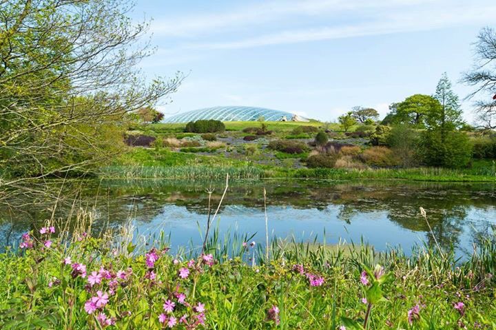 walesbotanic's tweet photo. Whether rain or shine, the Garden's a wonderful place to come for a wander, with plenty of open countryside and indoor areas! #GardenOfWales https://t.co/d1EaY26lgI