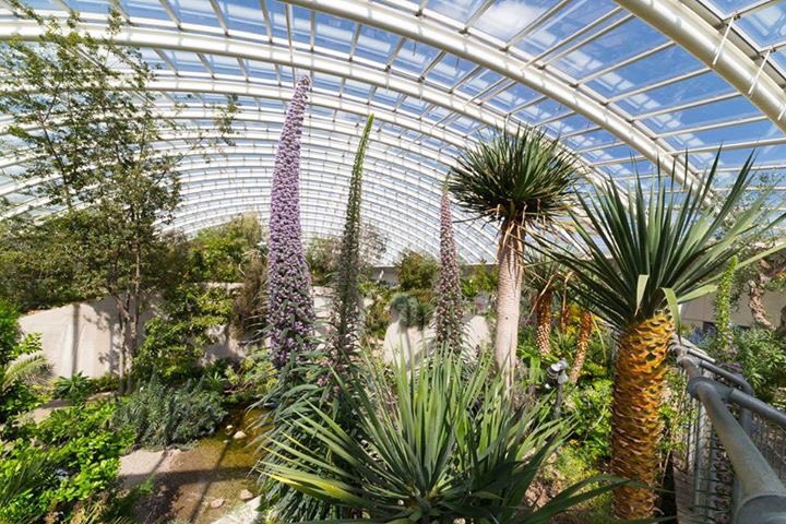 walesbotanic's tweet photo. Whether rain or shine, the Garden's a wonderful place to come for a wander, with plenty of open countryside and indoor areas! #GardenOfWales https://t.co/d1EaY26lgI