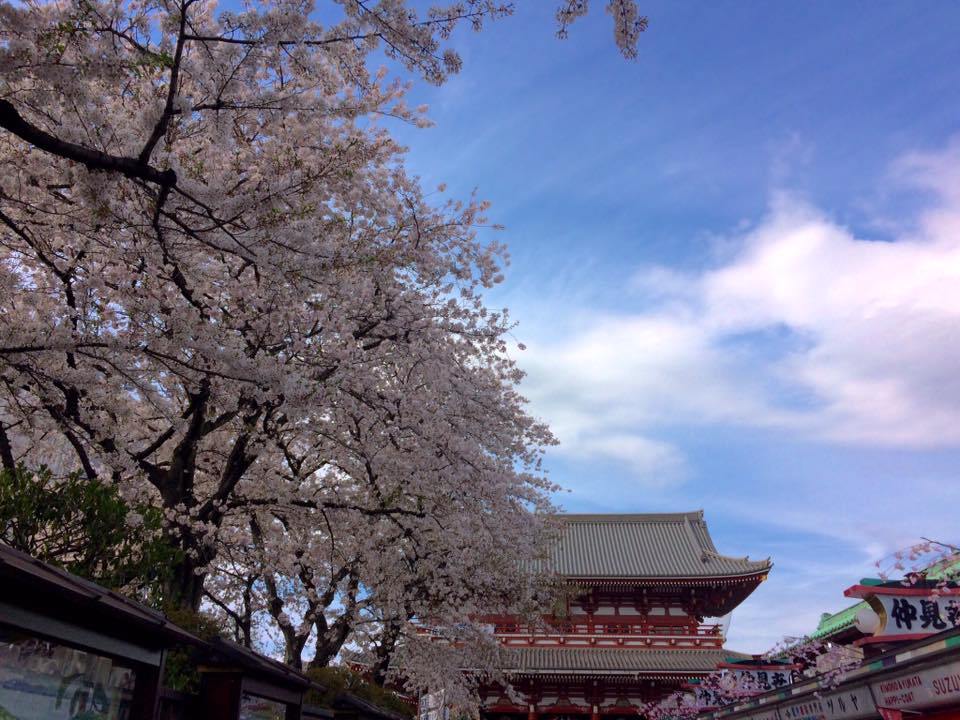 RobynYA's tweet image. Japan Series: 9 little things I love about Japan robynbobbingtravel.wordpress.com/2017/05/14/jap…