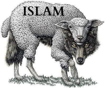 GayAgainstIslam's tweet photo. #gai #gay #banislam #bansharia https://t.co/H3gFbbdRao