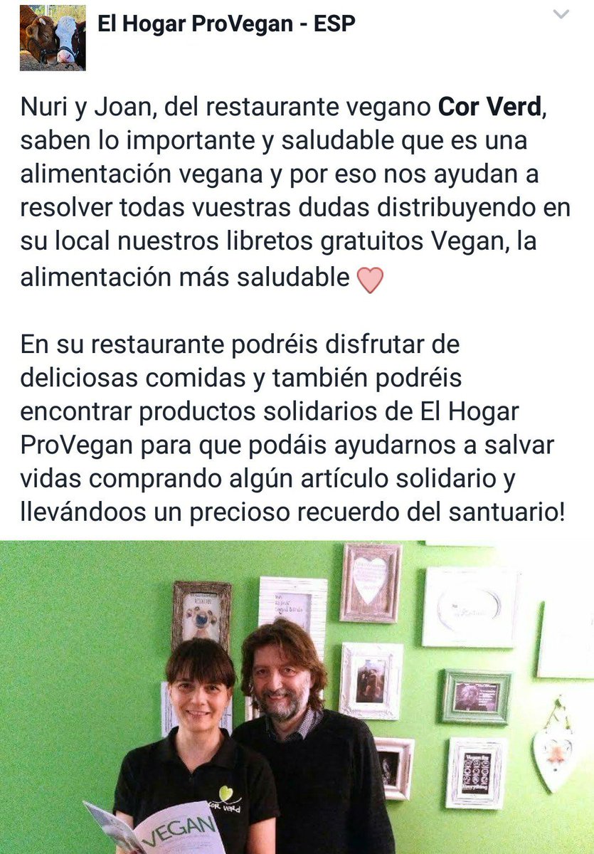 Fund_ElHogar's tweet photo. Gente con 💚 en el restaurante @CorVerd podréis disfrutar de deliciosas comidas🥗 y encontraréis productos solidarios de #ElHogarProVegan 🐎🐄🐖🐕 https://t.co/l1JtAQU2Jv