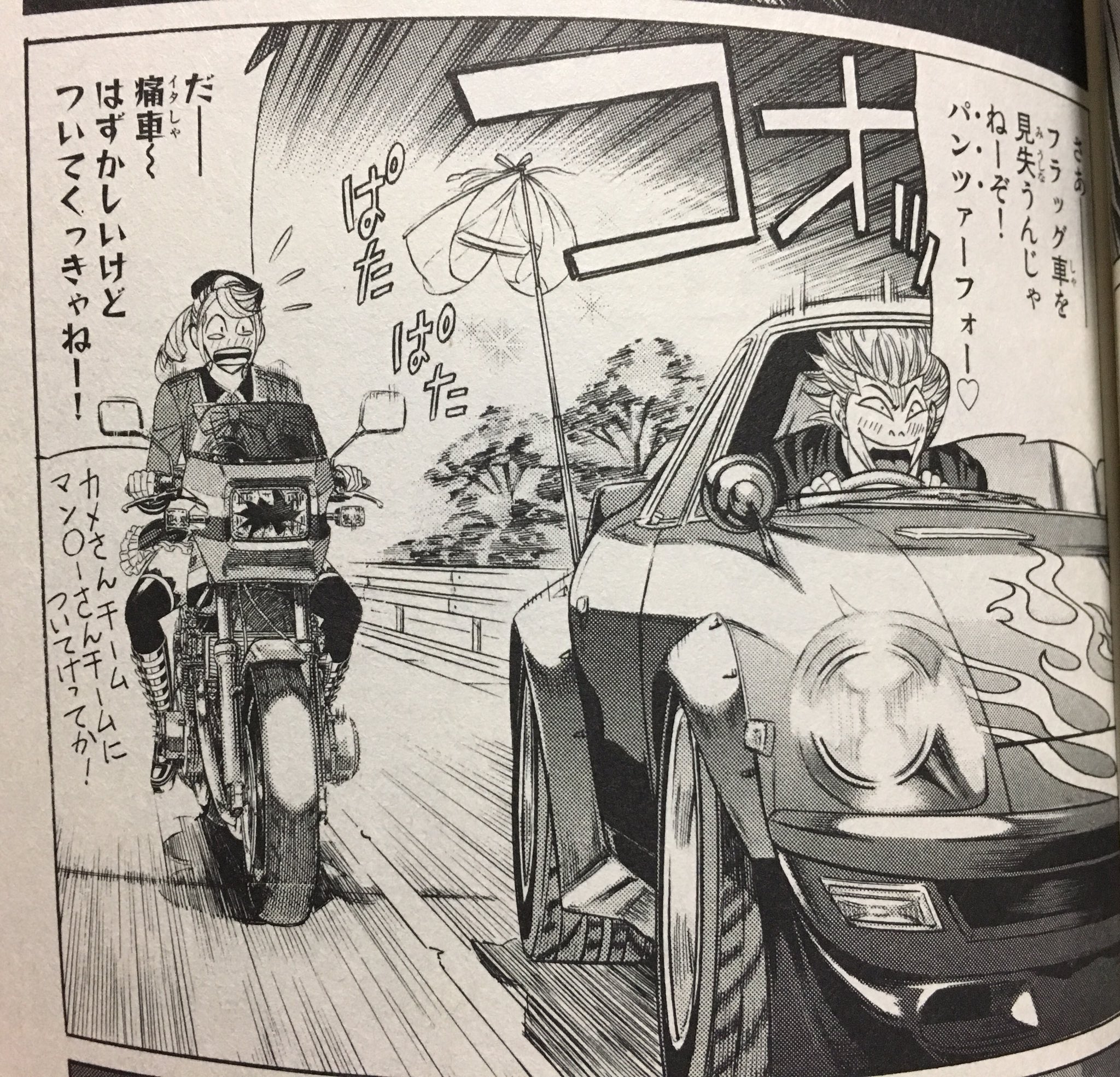 カメレオン　チームフラッグ カメレオンチームフラッグ