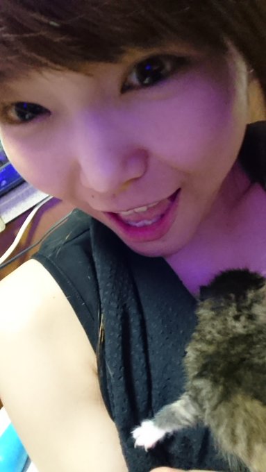 みなさま、おこんばんわ😃🍒 先週から咳がずっと止まらなくて困ってます(&acute;・c_・`) このままいったら、肋骨にヒビが入りそう😱😱  今日はお友達の猫ちゃんを抱っこさせてもらってきたよ&hearts; よじ登ってきて、脇とか胸元にくるの&hearts; まだ性別分からないらしいんだけど 雄だな、これは😃💡<a href="/tag/aknr"class="tags"><span>#aknr</span></a>