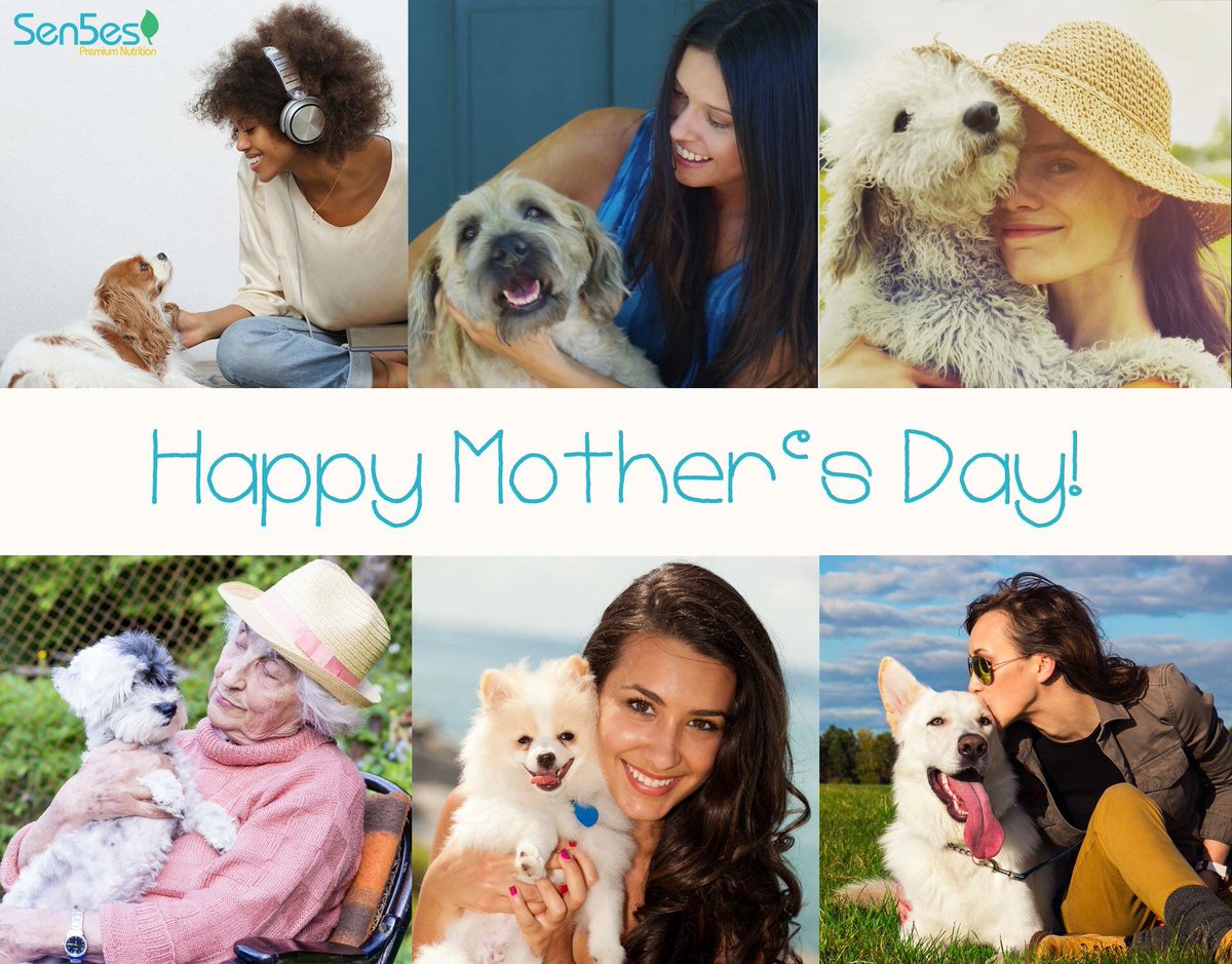 sen5es4pets's tweet photo. #happymothersday to all the awesome dog moms out there! 💕🐶🐾 #DogMoms #doglife https://t.co/8zMR80B8UG