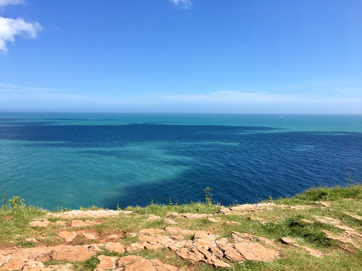 When you need your soul soothing, the Universe sends you dolphins 🐬  <a href="/Devon_Hour/">#DevonHour</a> #ttot