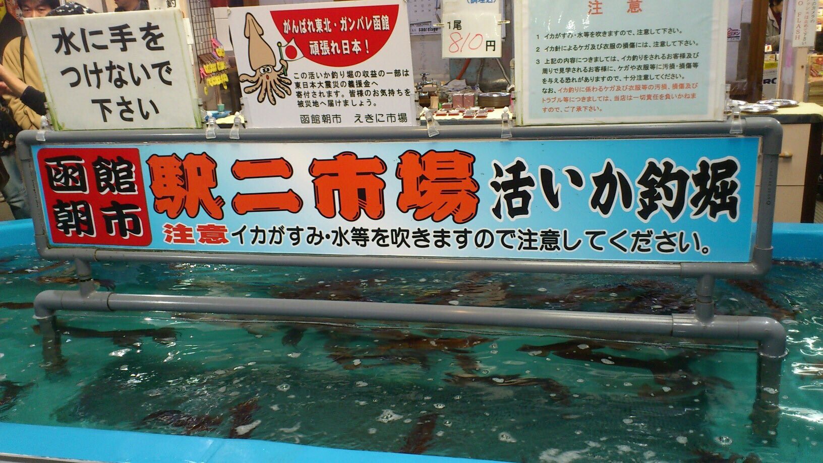 北海道lovers 函館駅ニ市場 イカ釣りが体験できますよ 北海道lovers 函館 イカ釣り T Co X8gu9xvs6h Twitter 北海道lovers 函館駅ニ市場 イカ釣りが体験できますよ 北海道lovers 函館 イカ釣り T Co X8gu9xvs6h Twitter